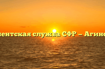 Клиентская служба СФР — Агинское