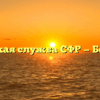Клиентская служба СФР — Бежаницы