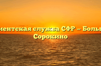 Клиентская служба СФР — Большое Сорокино