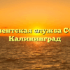 Клиентская служба СФР — Калининград