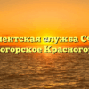 Клиентская служба СФР — Красногорское Красногорский