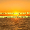 Клиентская служба СФР — Панкрушиха Алтайский