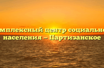 Комплексный центр социального населения — Партизанское