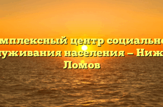 Комплексный центр социального обслуживания населения — Нижний Ломов