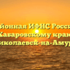 Межрайонная ИФНС России № 1 по Хабаровскому краю Николаевск-на-Амуре