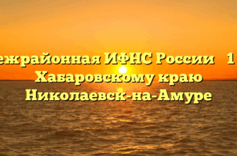 Межрайонная ИФНС России № 1 по Хабаровскому краю Николаевск-на-Амуре