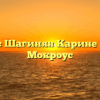 Нотариус Шагинян Карине Леваевна Мокроус
