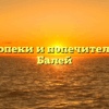 Отдел опеки и попечительства — Балей