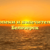 Отдел опеки и попечительства — Белозерск