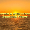 Отдел опеки и попечительства — Великий Устюг