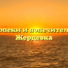 Отдел опеки и попечительства — Жердевка