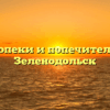 Отдел опеки и попечительства — Зеленодольск