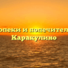 Отдел опеки и попечительства — Каракулино