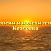 Отдел опеки и попечительства — Козловка