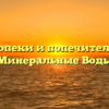 Отдел опеки и попечительства — Минеральные Воды