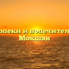 Отдел опеки и попечительства — Мокшан