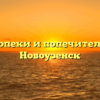 Отдел опеки и попечительства — Новоузенск
