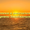 Отдел опеки и попечительства — Петровск-Забайкальский