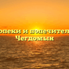 Отдел опеки и попечительства — Чегдомын