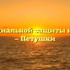 Отдел социальной защиты населения — Петушки