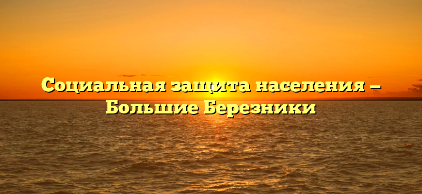 Социальная защита населения — Большие Березники