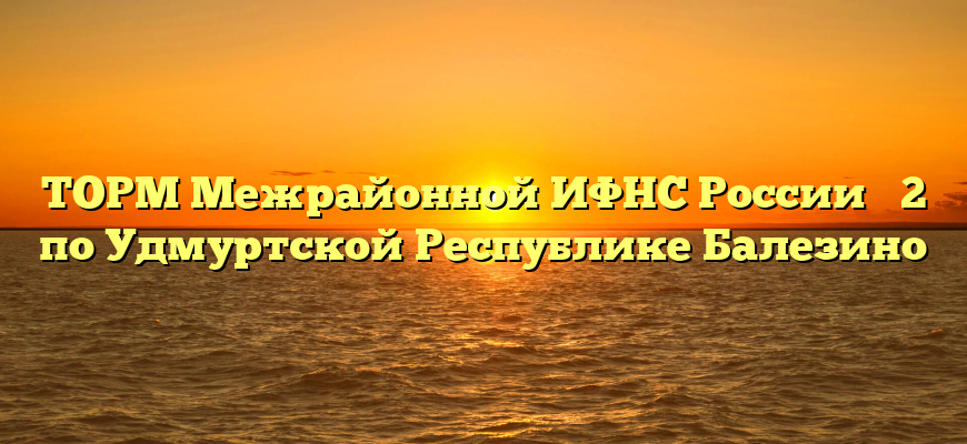 ТОРМ Межрайонной ИФНС России № 2 по Удмуртской Республике Балезино