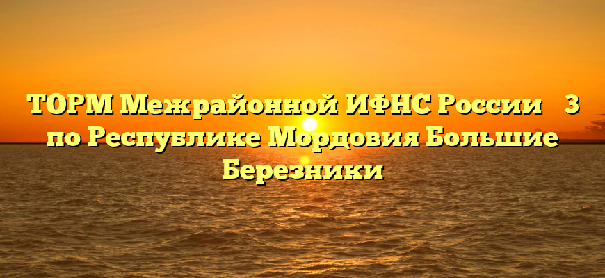 ТОРМ Межрайонной ИФНС России № 3 по Республике Мордовия Большие Березники