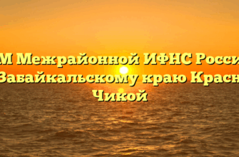 ТОРМ Межрайонной ИФНС России № 8 по Забайкальскому краю Красный Чикой