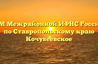 ТОРМ Межрайонной ИФНС России № 8 по Ставропольскому краю Кочубеевское
