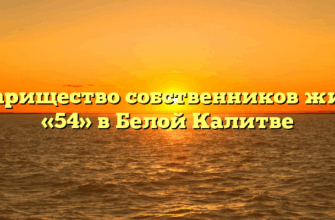 Товарищество собственников жилья «54» в Белой Калитве