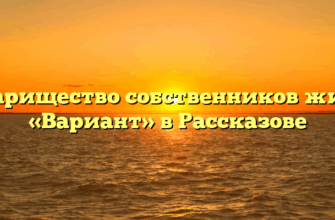Товарищество собственников жилья «Вариант» в Рассказове