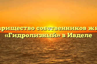 Товарищество собственников жилья «Гидролизный» в Ивделе