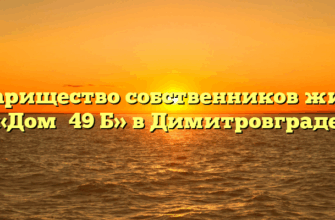 Товарищество собственников жилья «Дом №49 Б» в Димитровграде