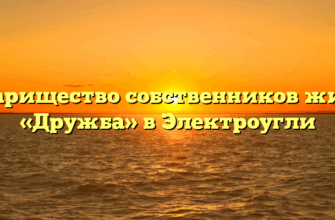 Товарищество собственников жилья «Дружба» в Электроугли
