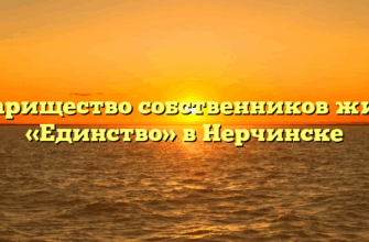 Товарищество собственников жилья «Единство» в Нерчинске