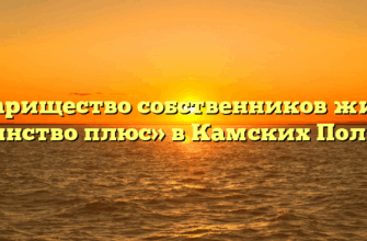 Товарищество собственников жилья «Единство плюс» в Камских Полянах
