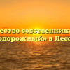 Товарищество собственников жилья «Железнодорожный» в Лесозаводске