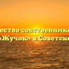 Товарищество собственников жилья «Жучок» в Советске