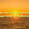Товарищество собственников жилья «Заречное» в Куженере