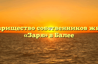 Товарищество собственников жилья «Заря» в Балее