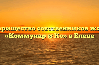 Товарищество собственников жилья «Коммунар и Ко» в Елеце