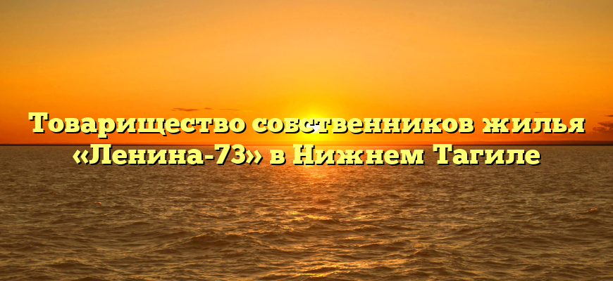 Товарищество собственников жилья «Ленина-73» в Нижнем Тагиле