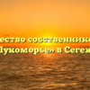 Товарищество собственников жилья «Лукоморье» в Сегеже