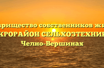 Товарищество собственников жилья «МИКРОРАЙОН СЕЛЬХОЗТЕХНИКА» в Челно-Вершинах