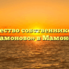 Товарищество собственников жилья «Мамоново» в Мамонове