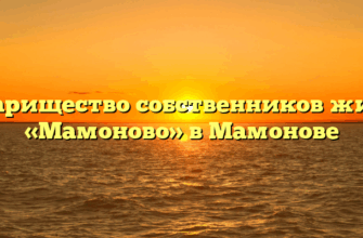 Товарищество собственников жилья «Мамоново» в Мамонове