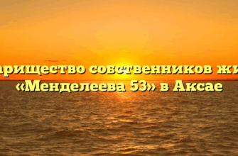 Товарищество собственников жилья «Менделеева 53» в Аксае