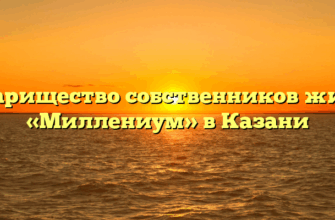 Товарищество собственников жилья «Миллениум» в Казани