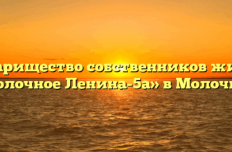 Товарищество собственников жилья «Молочное Ленина-5а» в Молочном