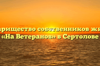 Товарищество собственников жилья «На Ветеранов» в Сертолове
